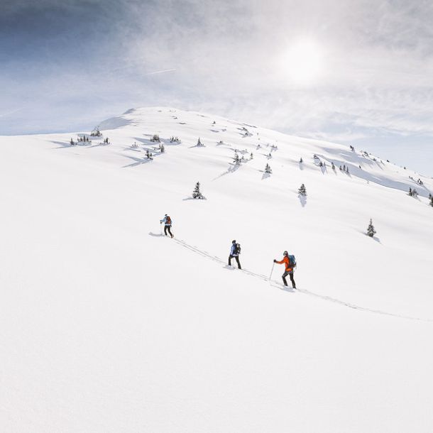 Ski tours